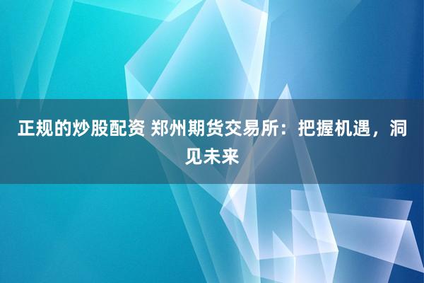 正规的炒股配资 郑州期货交易所：把握机遇，洞见未来