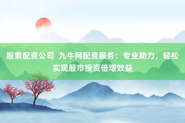 股票配资公司  九牛网配资服务：专业助力，轻松实现股市投资倍增效益