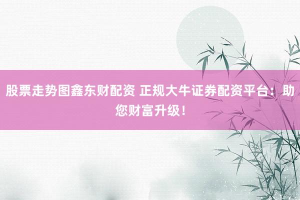股票走势图鑫东财配资 正规大牛证券配资平台：助您财富升级！
