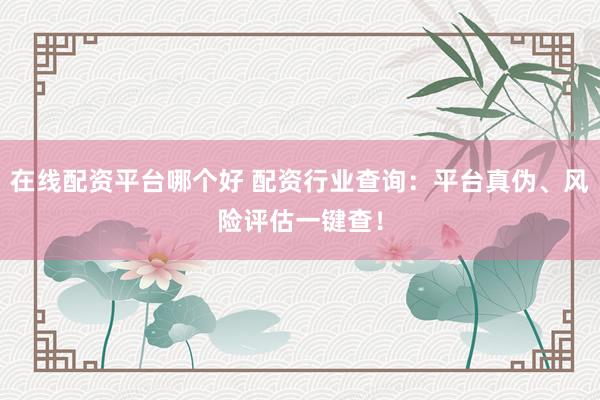 在线配资平台哪个好 配资行业查询：平台真伪、风险评估一键查！