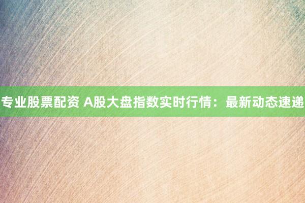 专业股票配资 A股大盘指数实时行情：最新动态速递