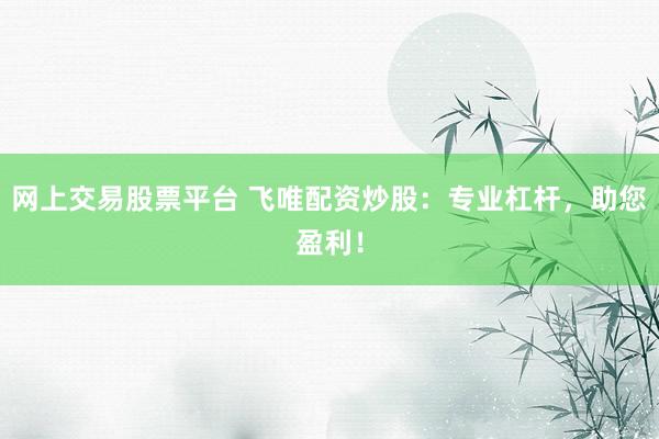 网上交易股票平台 飞唯配资炒股:专业杠杆,助您盈利!